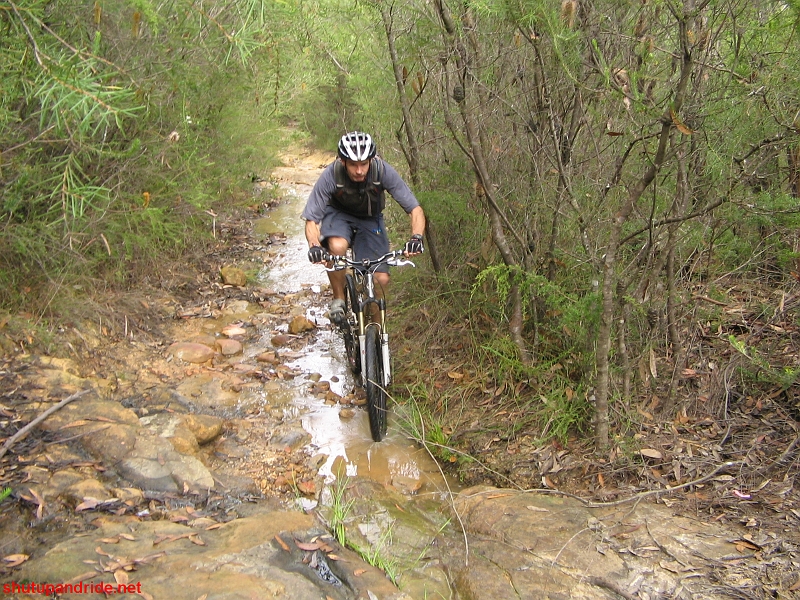 20090405-Mooney 201.jpg